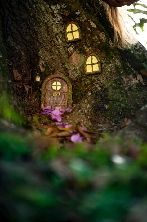 Fairy Tree Door, Fairy Windows On Trees, Fairy Garden Windows Diy, Wooden Wall Ideas, Dark Fairy Garden, Fairy Windows, Stump Decor, Tree Stump Decor, Fairy Window