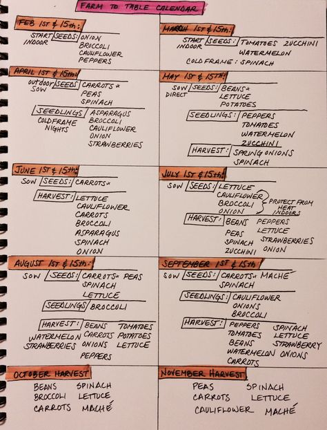 Vegetable Growth Chart, Planting Dates Vegetable Gardening, Zone 5b Gardening Vegetables, Zone 5 Planting Schedule Vegetables, Zone 5 Vegetable Garden Layout, Texas Vegetable Garden Layout, Zone 5 Garden Plans, Vegetable Garden Zone 5, When To Fertilize Vegetable Garden