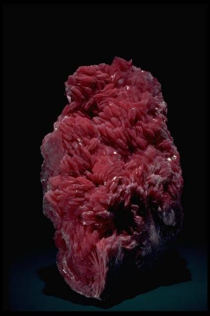 Photograph of rhodonite (166773) from the National Mineral Collection National Museum Of Natural History, Rhodonite Crystal, Radiant Red, Beautiful Crystals, Museum Of Natural History, Pretty Rocks, Marmont Hill, Smithsonian Institution, Red House