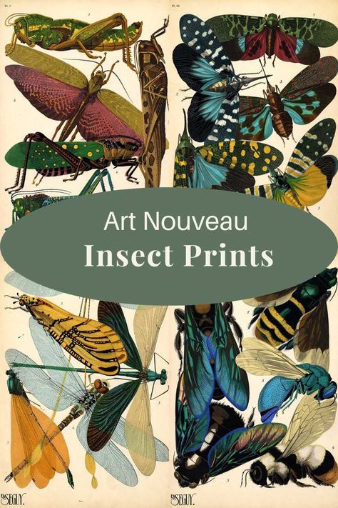 20 stunning prints of art nouveau insects by E.A. Seguy a wonderful example of art nouveau art and design. All available in high resolution and free to print, in the Public Domain and copyright free. Visit the site to see them all. Public Domain Art Nouveau, Bug Wall Art, Free Printable Wall Art Quotes, Public Domain Art, Card Backgrounds, Journal Nature, Nature Studies, Design Art Nouveau, Copyright Free Images