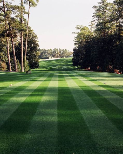 Golf Monthly on Instagram: “Old school Augusta National 😍⛳ #golf #golfer #golfing #golfstagram #golflife #golfcourse” The Masters Aesthetic, Golf Asthetic Photos, Old Money Golf, Golf Scenery, Golf Course Aesthetic, Golf Field, Golf Aesthetic, Honma Golf, Golf Course Photography