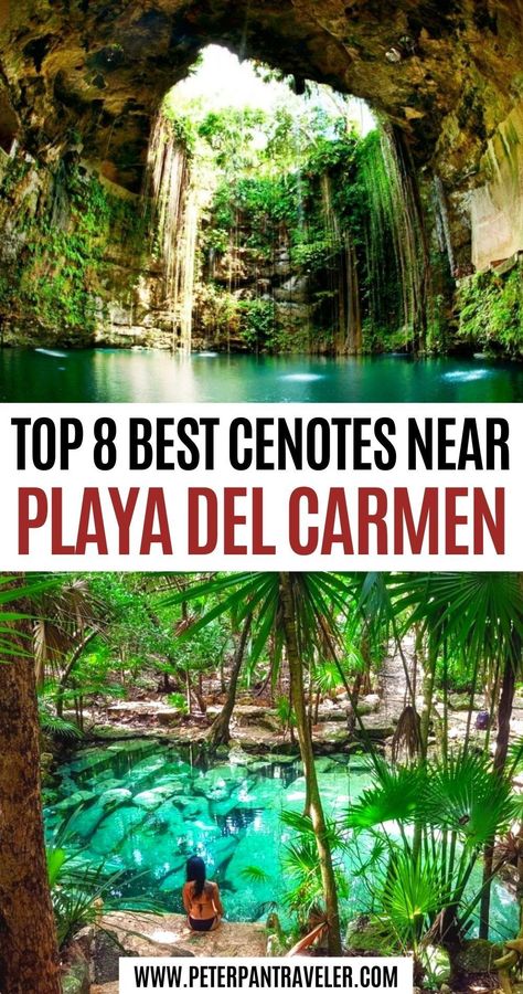 Iberostar Tucan Playa Del Carmen, Ocean Maya Royale Playa Del Carmen, Alux Restaurant Playa Del Carmen, Playa Del Carmen With Kids, The Fives Playa Del Carmen, Mexico Cenotes, Playa Del Carmen Mexico Things To Do In, Playacar Mexico, Things To Do In Playa Del Carmen