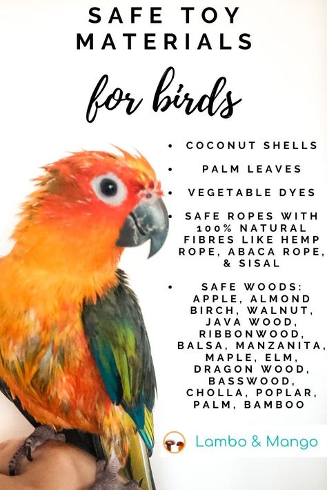 Diy Safe Bird Toys, Cockatiel Toys Homemade, Bird Care Tips, Diy Bird Toys Cockatiel, Sun Conure Cage Setup, Diy Parakeet Toys, Green Cheek Conure Cage Setup, Diy Bird Toys Parakeets, Diy Cockatiel Toys