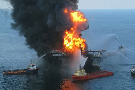 Deepwater Horizon Oil Spill, Deepwater Horizon, Food Web, Louisiana State University, Oil Spill, Climate Action, Marine Mammals, Deep Water, Oil Rig