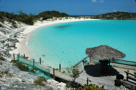 warm clear blue waters. Half Moon Cay. Exuma Island, Bahamas Honeymoon, Great Exuma, Exuma Bahamas, Cruise Pictures, Bahamas Travel, Bahamas Vacation, Bahamas Island, Surfing Pictures