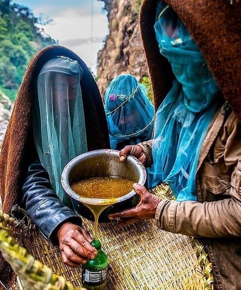 @mad.honey.shot . .  Among those of us living in Western countries, Nepal has a reputation as a mystic place, a land on the border between… Medicinal Honey, Mad Honey, World Photography Day, Guardian Spirit, Mystical Places, Photography Day, On The Border, Natural Medicine, Art References