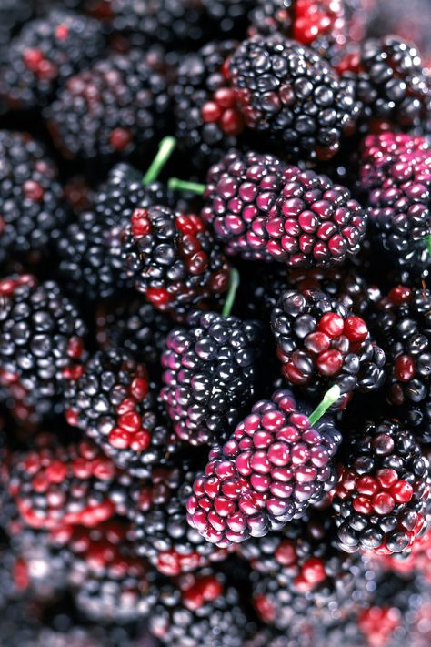 Mulberry Recipes, Mulberry Fruit, Fruit Health Benefits, Green Chilies, Matcha Green Tea, Fruit And Veg, Dried Fruit, Fruits And Vegetables, Fresh Fruit