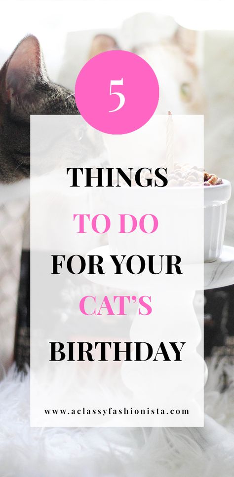 FIVE THINGS TO DO FOR YOUR CAT'S BIRTHDAY + CAT BIRTHDAY CUPCAKE | A Classy Fashionista | Cat Cupcake | Cat Cake | Cat Birthday | Pet Birthday | Cat Lover | #FortunaForAll #cbias | #ad How To Celebrate Your Cats Birthday, Birthday Cakes For Cats To Eat, Birthday Treat For Cat, Cat Birthday Treats, Diy Cat Birthday, Birthday For Cat Pets, Cat Birthday Cake For Cats Recipe, Homemade Cat Cake, Cat Safe Birthday Cake