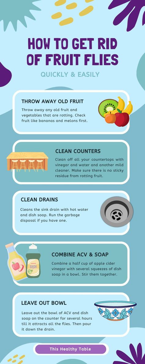 Fruit Flys How To Get Rid Of In Drain, Kill Fruit Flies In House, Rid Of Fruit Flies In House, Get Rid Of Fruit Flies In House Fast, What Kills Fruit Flies, Nat Trap Fruit Flies, Fruit Flies Get Rid Of Kitchens, Fruit Fly Infestation How To Get Rid, Flies In House Get Rid Of