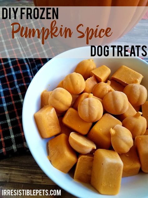 DIY Frozen Pumpkin Spice Dog Treats by IrresistiblePets.com Pumpkin Recipes For Dogs, Pumpkin Spice Treats, Homemade Dog Cookies, Frozen Dog Treats, Frozen Pumpkin, Dog Biscuit Recipes, Pumpkin Dog Treats, Frozen Dog, Healthy Dog Treat Recipes