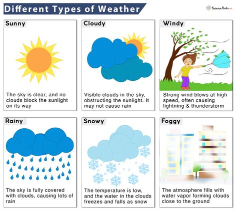 Different types of weather conditions explained for kids with a picture. Learn the severe types of weather found on Earth. Types Of Blood Cells, Weather For Kids, Types Of Weather, Weather Art, Weather Chart, High Clouds, Windy Weather, Weather And Climate, Science Facts