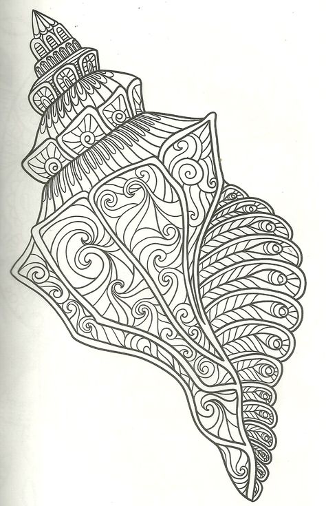 shell coloring page Shell Coloring Pages, Nautical Mandala, Shell Coloring, Zentangle Coloring Pages, Beach Coloring Pages, Penanda Buku, Soyut Sanat Tabloları, Zentangle Drawings, Quilling Patterns