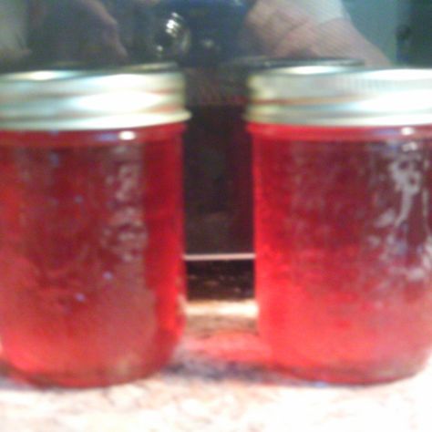 GRACE123'S APPLE/CINNAMON JELLY Recipe | Just A Pinch Recipes Apple Juice Jelly Recipe, Cinnamon Apple Jelly, Easy Jam, Apple Jelly, Jelly Recipe, Just A Pinch Recipes, Cinnamon Apple, Fruit Jelly, Jelly Recipes