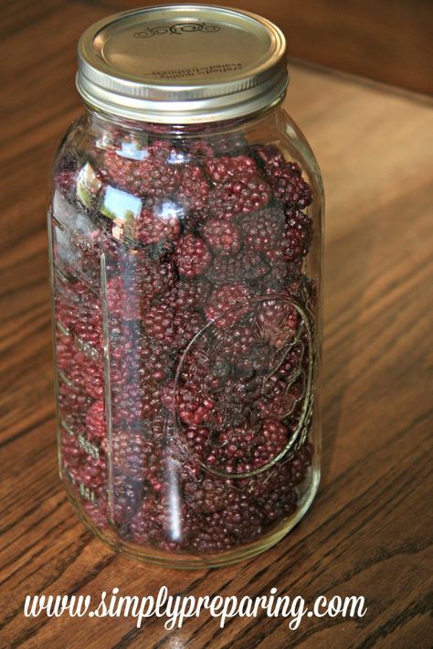 Dehydrated Blackberries, Preserve Blackberries, Freeze Blackberries, Dehydrating Strawberries, Black Raspberry Recipes, Canning Blackberries, Dehydrating Food Storage, How To Freeze Blackberries, Shtf Prepping