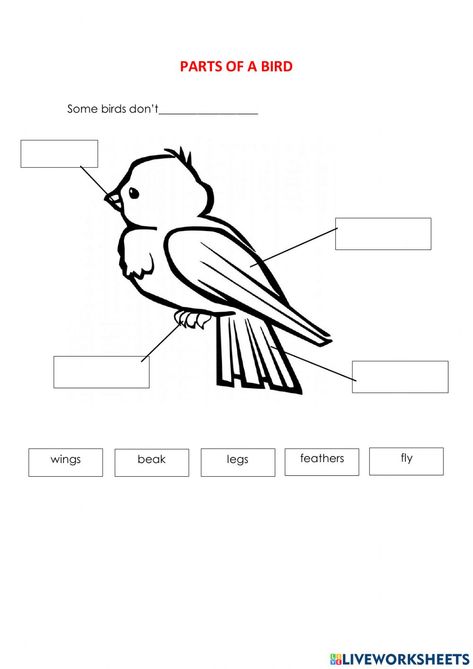 Parts of birds worksheet Worksheet On Birds For Kindergarten, Birds Worksheet For Grade 3, Parts Of A Bird Preschool, Parts Of A Bird Worksheet Free Printable, Bird Worksheets Preschool, Birds Worksheets Kindergarten, Birds Worksheets For Kids, Bird Worksheet, Parts Of A Bird