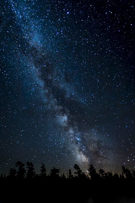 Montana Night Sky, Clear Night Sky, Beautiful Night Sky, Algonquin Park, Night Sky Wallpaper, Starry Nights, Sky Full Of Stars, Midnight Sky, Clear Sky