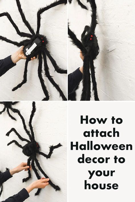 Halloween decoration spiders - The House That Lars Built Spider On Wall Halloween Decorations, Giant Spiders On House, Halloween Spider Decor, How To Hang Spiders On House, Spiders On House Halloween, Halloween Spiders On House, Spoder Web, Spider Halloween Decorations, Stick Spider