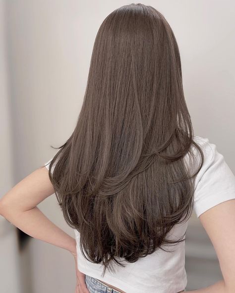 Long Layer Korean Hair, Korean Layered Hair Straight, Layered Hair Korean Long, Long Layers Korean Haircut, Long Layered Hair Korean Straight, Layers For Long Hair Asian, Japanese Layered Haircut Medium, Simple Layers For Long Hair, Simple Layered Haircut