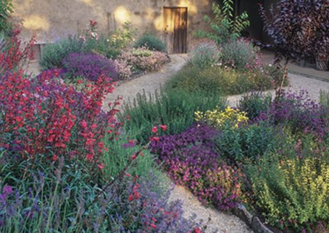 Southern California Garden, California Landscaping, California Native Garden, Drought Tolerant Garden, Drought Tolerant Landscape, California Native Plants, Home Yard, California Garden, Desert Garden