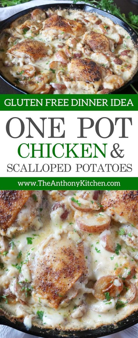 Chicken and Scalloped Potato Casserole Chicken And Scalloped Potatoes, Scalloped Red Potatoes, One Pot Chicken Dinner, Scalloped Potato Casserole, Scalloped Potatoes Recipe, Scalloped Potato, Chicken Dinner Recipe, Bone In Chicken, Scalloped Potato Recipes