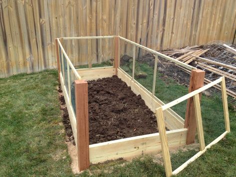 Garden Bed Fence, Garden Bed With Fence, Raised Garden Bed With Fence, Wire Fence Panels, Small Garden Fence, Diy Raised Garden Bed, Chicken Wire Fence, Chicken Coop Garden, Fence Pickets