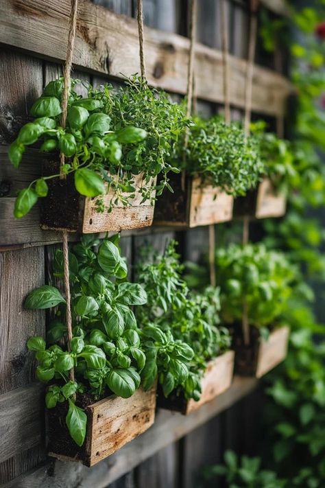 Turn your wall or balcony into a green oasis with a DIY vertical herb garden! This step-by-step guide will show you how to grow fresh herbs in even the smallest spaces. 🌿✨ #DIYHerbGarden #VerticalGardening #SmallSpaceLiving #FreshHerbsAtHome #EcoFriendlyGardening Best Pots For Herbs, Garden Herb Wall, Small Herb Garden Design Layout, Mini Herb Garden Outdoor, Tiered Herb Planter, Tiny Herb Garden, Wall Herb Garden Outdoor, Herb Wall Outdoor, Herb Wall Kitchen