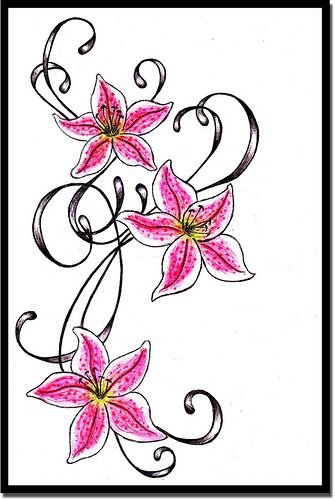 Stargazer Tattoo, Lilly Drawing, Lilly Tattoo Design, Stargazer Lily Tattoo, Draw A Star, Star Lily, Lillies Tattoo, Lilies Drawing, Lily Flower Tattoos