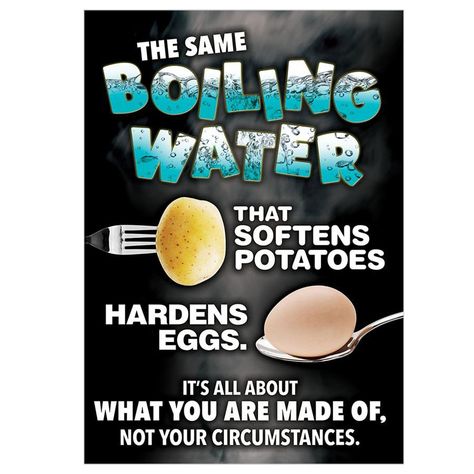 Water Quotes, Boiling Water, The Egg, Potato, Condiments, Egg, Water, Quotes