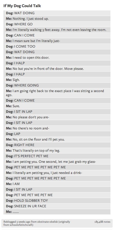 If my dog could talk If Dogs Could Text, If Dogs Could Talk, Dog Texts, Memes Dog, Jokes For Teens, Terrible Jokes, Truth Ideas, Memes In Real Life, Text Jokes