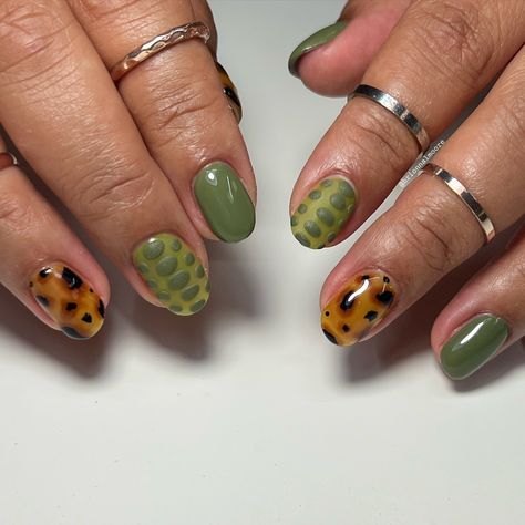 Shell-ebrate natural beauty with these textured green tortoise shell nails, the perfect fall nail art look. 🌿🐢 ⚡️save for nail inspo+share with a nail friend ⚡️comment 🐢 if you love tortoise shell nail art ⚡️code 𝐁𝐫𝐢 to save on PLA goodies ⚡️nail color: Don’t Worry Be Sappy, Down The Orchard Should I do a tutorial on the textured nail? #nailart #fallnailart #tortoiseshellnails #tortoiseshell #tortoisenails #greennails #fallnailinspo #fallnaildesigns #texturednails #sweaternails #3dnailart... Tortoise Shell Nail Art, Tortuous Shell Nails, Green Tortoise Shell Nails, Shell Nail Art, Tortoise Shell Nails, Shell Nails, Sweater Nails, Fall Nail Art, Fall Nail