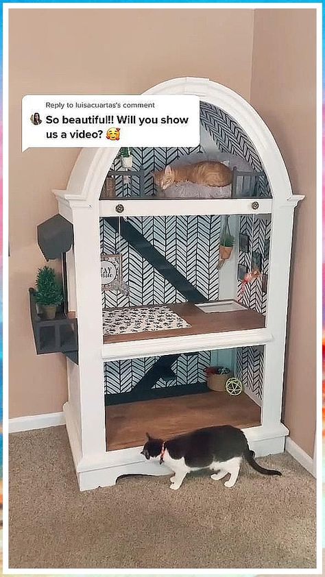 Cat Bed - Have access to the fantastic brands and awesome products to meet your desire - Act Now and Visit Today! Raised Cat Bed, Cat Crate Bed, Cat Bed Ideas, Long Shelves, Animal Furniture, Dog Crate Pads, Top Of Cabinets, Cat Crate, Cat Couch