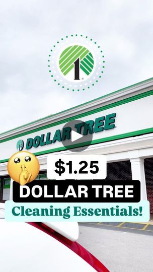 Dollar Tree Cleaning Supplies, Dollar Tree Cleaning, Cleaning Supplies List, Frugal Mom, Life On A Budget, Store Hacks, Dollar Store Hacks, Dollar Tree Finds, Natural Cleaners