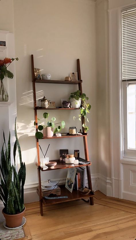 Master Bedrooms Shelves, Plant Stand In Bedroom, Seattle Home Aesthetic, Bookshelf With Plants And Books, Ladder Shelf Styling Living Room, Ladder Shelves Bedroom, Ladder Bookshelf Aesthetic, Ladder Shelf Aesthetic, House Plants Decor Bedroom