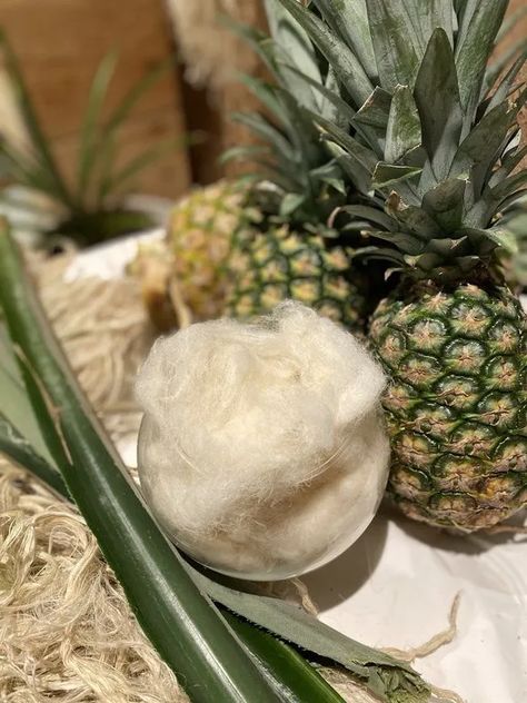 This Southeast Asian Innovator Sources Pineapple Leaves for Denim – Sourcing Journal Pineapple Leaves, Pineapple Leather, Pineapple Fabric, Natural Fiber Clothing, Agricultural Sector, Asian Fabric, Sustainable Textiles, Southeast Asian, Making Waves