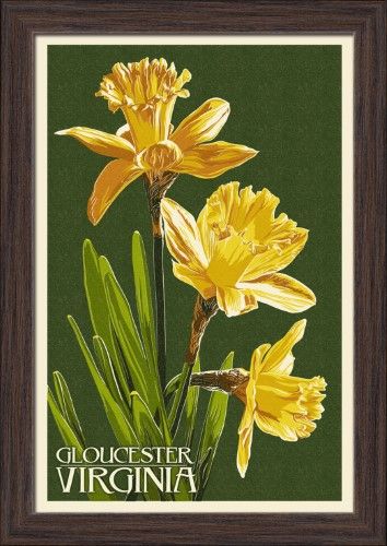 Gloucester, Virginia - Daffodil - Letterpress - Lantern Press Artwork (12x18 Giclee Art Print, Gallery Framed, Espresso Wood), Multi Letterpress Art, Gloucester Virginia, Background Print, Free Canvas, Stock Art, Antique Maps, Gloucester, Support Artists, Art Ink