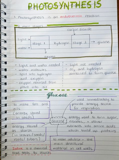 Here are a few brief notes on photosynthesis and glucose. Back To School Hacks, Water Molecule, School Tips, Energy Use, Carbon Dioxide, Photosynthesis, Energy Sources, School Hacks, Amino Acids