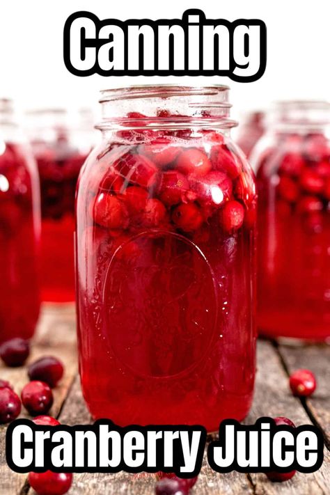 Canning Cranberry Juice, Canning Cranberry, Blueberry Syrup Recipe, Homemade Tomato Paste, Pineapple Cheese, Rhubarb Jam Recipes, Pizzelle Recipe, Blueberry Jam Recipe, Canned Cranberries