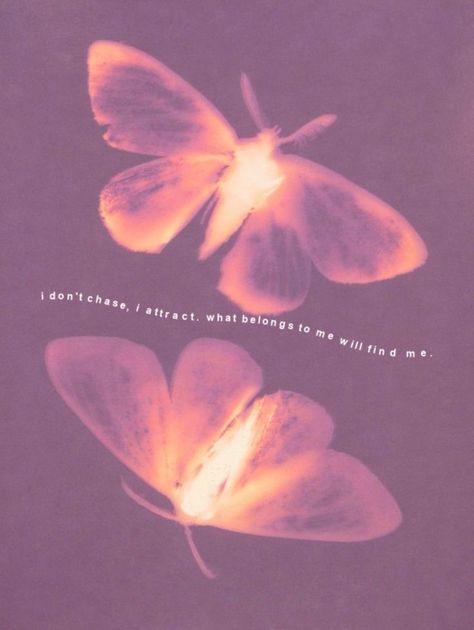 i don't chase, i attract. what belongs to me will find me. affirmation. Dont Chase, I Don't Chase I Attract, A Day In My Life, I Attract, Day In My Life, In My Life, Tik Tok, Butterflies