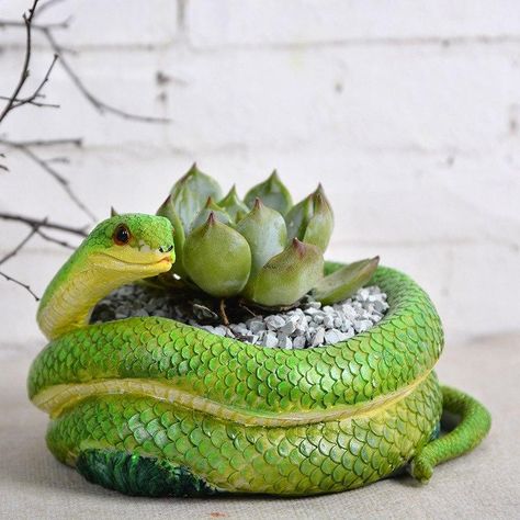 Succulent Pot Ideas, Succulents Pots, Coil Pottery, Coil Pots, Pot Ideas, Green Snake, Tanah Liat, Pot Plant, Ceramics Pottery Art