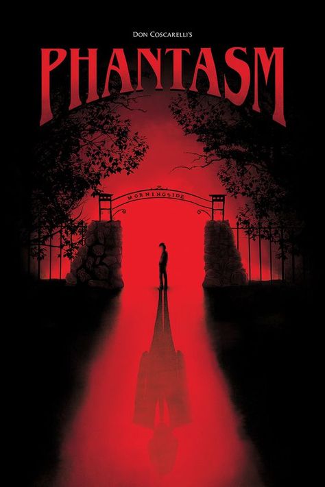 Phantasm (1979) Horror Fanatic, Slasher Movies, Horror Movie Icons, Fiction Movies, Best Horror Movies, Horror Posters, Retro Horror, Movie Covers, Horror Movie Art