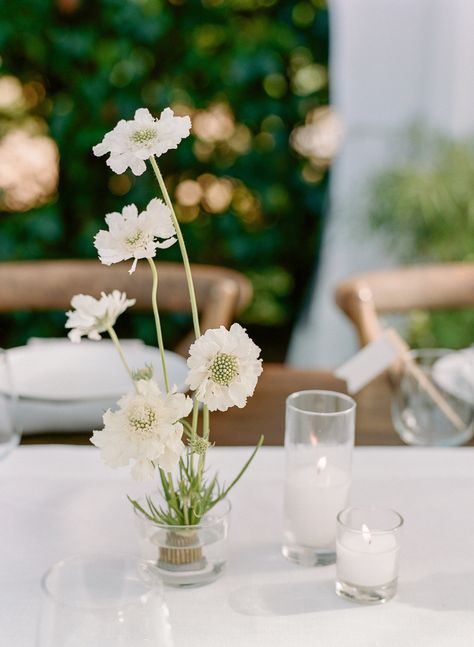 Long Tables, Beach Village, Bainbridge Island, Beautiful Evening, Wedding Mood Board, Seattle Wedding, Wedding Mood, Table Flowers, Wedding Weekend