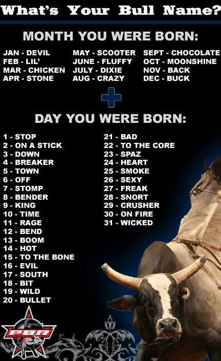 What's your Bull name? Bull Names, Bull Riding Quotes, Pbr Bull Riders, Pbr Bull Riding, Rodeo Quotes, Funny Quotes Wallpaper, Funny Road Signs, Bucking Bulls, Western Quotes