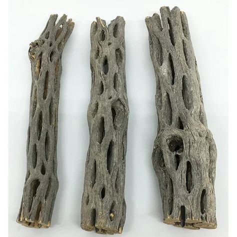 Cholla Wood Aquarium Hermit Crab Habitat, Hermit Crab Shells, Reptile Tank, Live Aquarium Plants, Hermit Crabs, Aquarium Supplies, Fish Tank Accessories, Reptile Habitat, Snake Bites