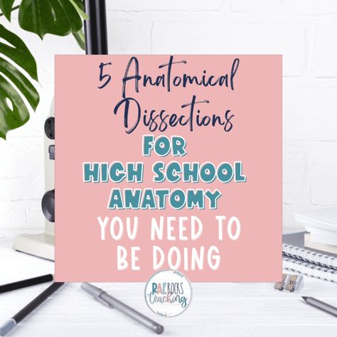 5 Anatomical Dissections for High School Anatomy You Need to Be Doing - Rae Rocks Teaching Anatomy Classroom, Cow Eyes, High School Science Teacher, What Is Reading, High School Science, Teaching High School, Body Organs, Cardiovascular System, Body Systems