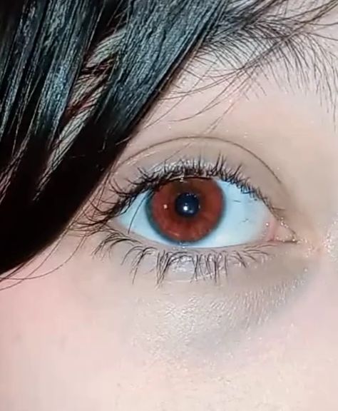 Reddish Brown Eyes, Red Eyes Aesthetic, Red Brown Eyes, Zoë Aesthetic, Hunter Eyes Woman, Dark Red Eyes Aesthetic, Red Eye Contacts, Red Eye Color, Dark Red Eyes