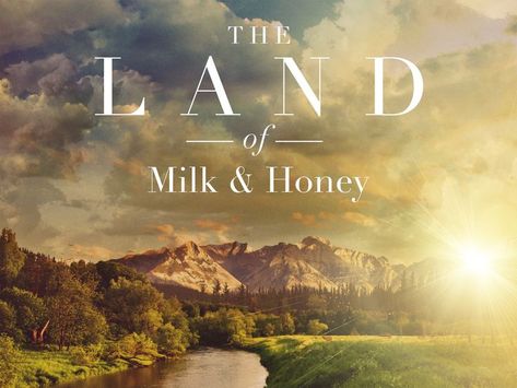 Meaning of 'Land Flowing with Milk and Honey' Church Media Graphics, Land Of Milk And Honey, Honey Art, Worship Songs Lyrics, Sermon Series, Promised Land, Bible Teachings, Here On Earth, Bible Crafts