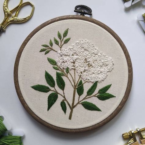 Eucalyptus Embroidery, Beginning Embroidery, Embroidery Stitches Beginner, Tree Embroidery, Hand Embroidery Patterns Flowers, Floral Embroidery Patterns, Diy Embroidery Patterns, Embroidery Stitches Tutorial, Pola Sulam