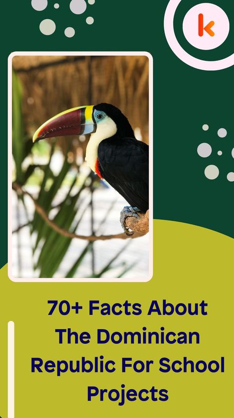 70+ Facts About The Dominican Republic For School Projects Dominican Republic School Project, Dominican Republic Culture, Heritage School, Cool Facts, World Thinking Day, Mission Trip, Hispanic Heritage Month, Missions Trip, Hispanic Heritage