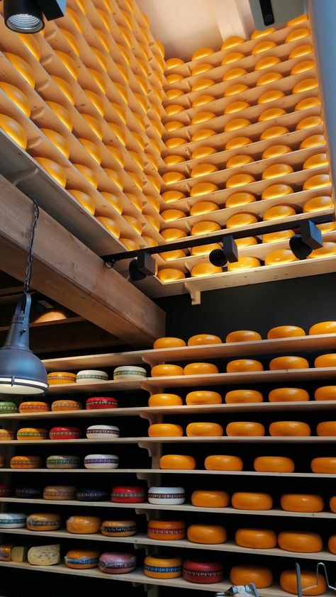 Amsterdam Cheese, Cheese Wheel Pasta, Cheese Restaurant, Cheese Store, Cheese Wheel, Cheese Factory, Queso Cheese, Gouda Cheese, Cheese Tasting