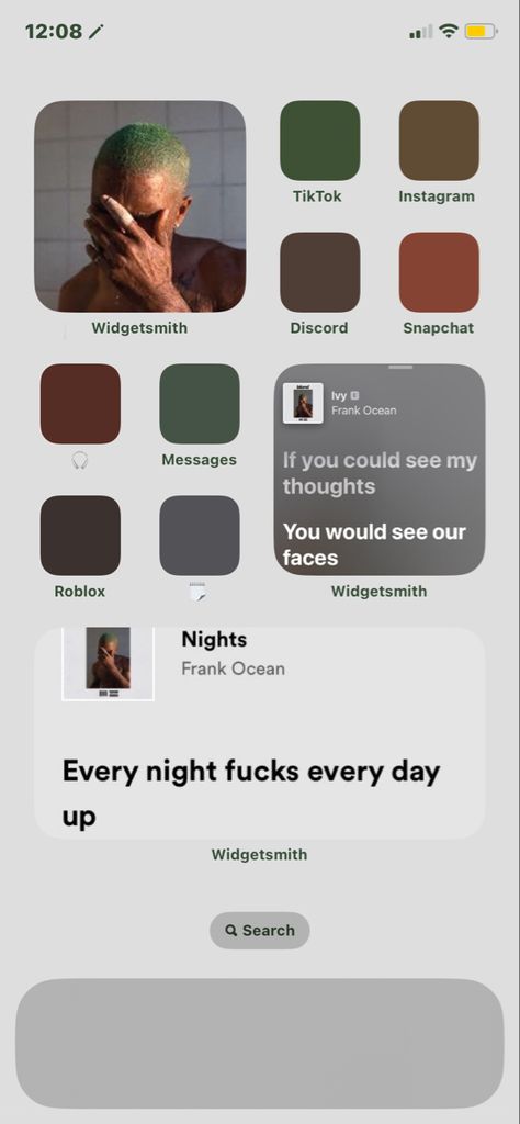 Frank Ocean App Icon, Frank Ocean Homescreen Layout, Frank Ocean Ios 16, Phone Asethic, Frank Ocean Homescreen, Ocean Homescreen, Samsung Homescreen Layout Ideas, Long Widget, Frank Ocean Wallpaper